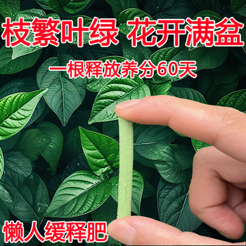 Plant nutrition bar, universal slow-release fertilizer for flower cultivation