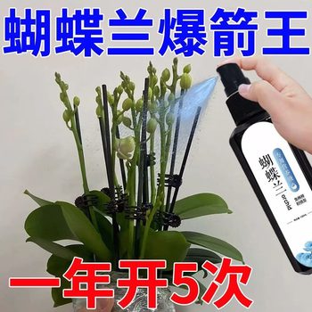 Phalaenopsis Arrow King Plant Nutritional Solution Flowering Sword Blossom Prevention of Yellow Leaf Orchid Special Fertilizer General Organic Fertilizer