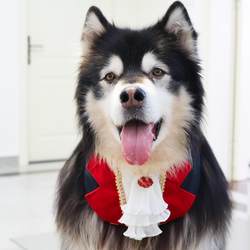 Halloween Duke Vampire Pet Dog Dress Up Scarf