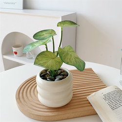 Simulated Plants, Scandinavian Decoration, Small Potted Plants, Office Living Room Desktop, Indoor Bonsai Ornaments, Bionic Fake Flowers and Green Plants