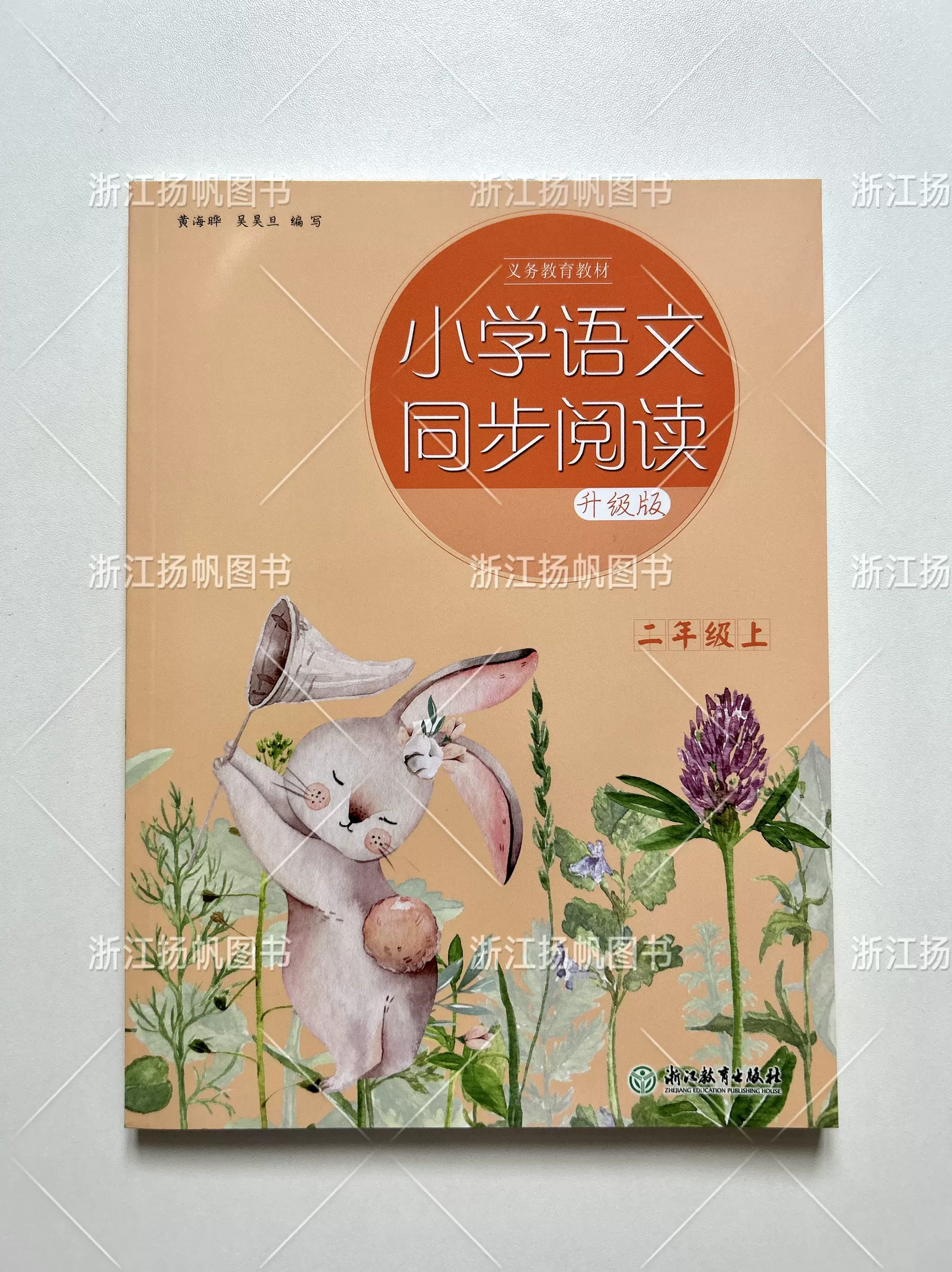 关于（二）教辅书推荐（20条）的信息