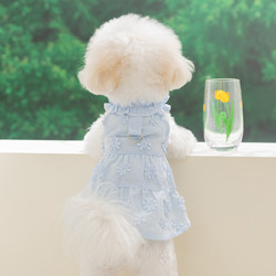 Puppy Clothes 2026 New Summer Teddy Bichon Yorkie Small Dog Pet Thin Spring Dress Princess Skirt