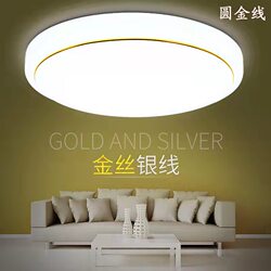 Super Bright Ceiling Lamp Led Bedroom Living Room Lighting Elegant and Simple Balcony Lamp Aisle Lamp Entrance Lamp Engineering Lighting