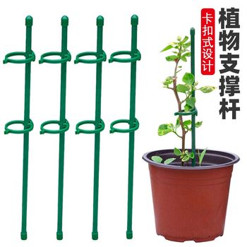 Plant support pole Monstera flower support frame to prevent lodging