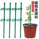 Plant support pole Monstera flower support frame green plant gardening vegetable tomato climbing pergola anti-lodging fixed artifact