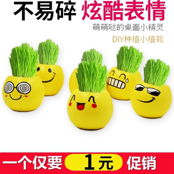 Office mini plant potted grass grass head doll