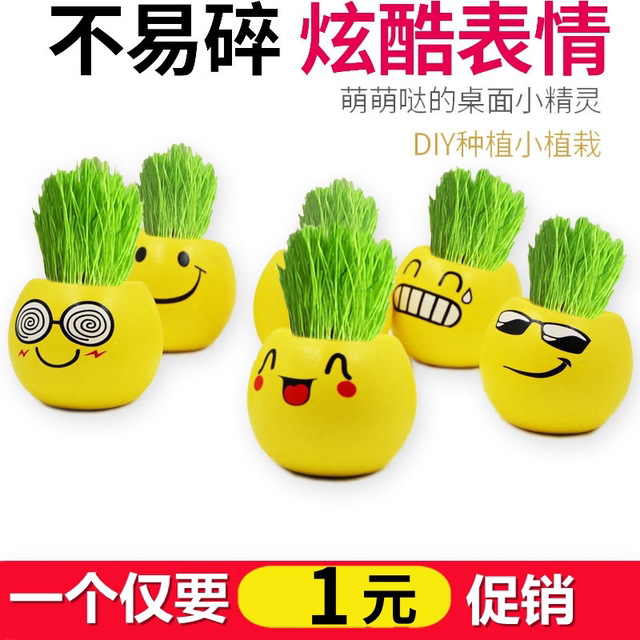 Grass head doll office mini plant small potted grass planting expression desktop diy potted plant student gift
