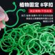 Cucumbers, tomatoes, beans, climbing vines, 8-character clips for green plants, vegetable bundles, vine fixing clips, garden tools, 8-character buckles, and 8-character clips