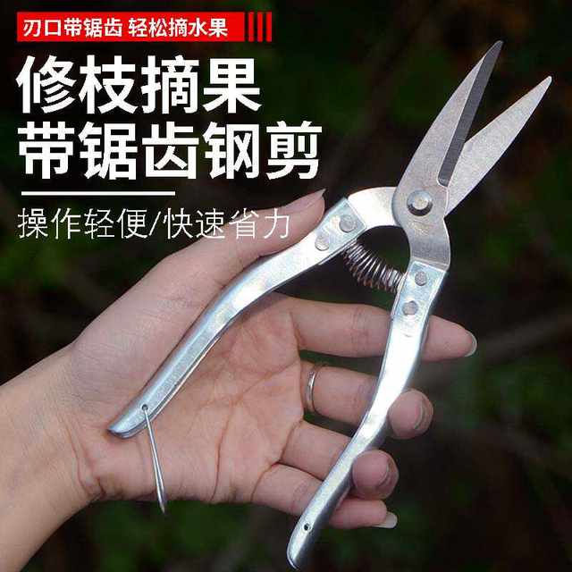 Stainless steel garden pruning shears, fruit picking shears, grape and orange special picking tools, garden fruit tree scissors, spring shears