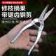 Stainless steel garden pruning shears, fruit picking shears, grape and orange special picking tools, garden fruit tree scissors, spring shears