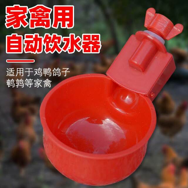 Raising chicken with automatic drinking water heater, chicken, duck and goose drink water bowl, drink water bowl quail puppet bird feed artifact chick chicken