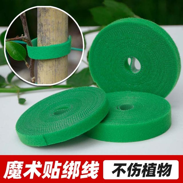 Climbing green plant strap shape Velcro decal garden with double-sided sticky gardening thread bundled support flower arrangement fixing