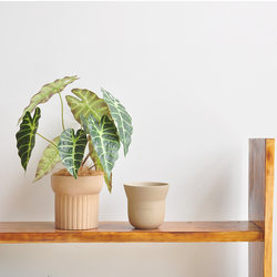 Jiusi Artificial Fake Green Plants Indoor Home Office Desk Potted Plants Bionic Plant Decoration Ornaments Art476