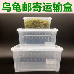 Turtle Transport Box Express Packaging and Delivery Spider Reptile Breeding Container Dry Moss Moisturizing Transport Box 