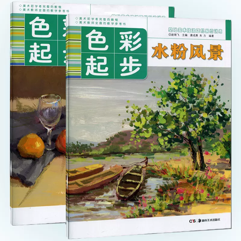 基礎美術技法正規系統訓練水粉畫教材水粉風景靜物學生成人初學者零