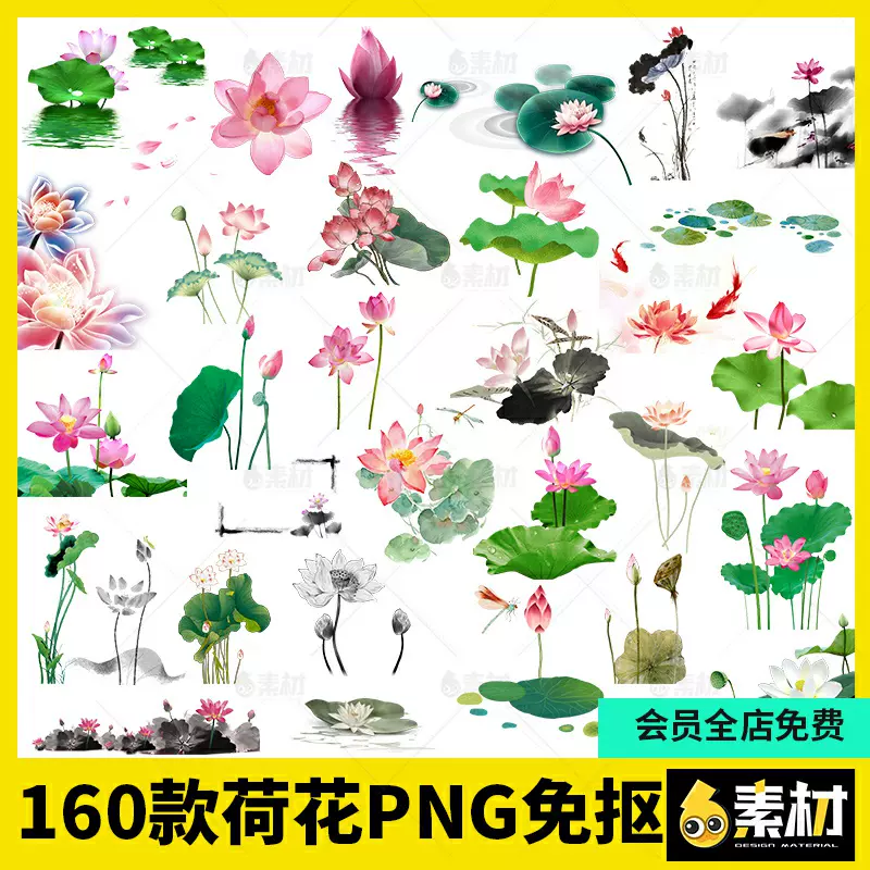 荷花荷叶莲花鲤鱼水墨手绘简笔画中国风古风png免抠图片