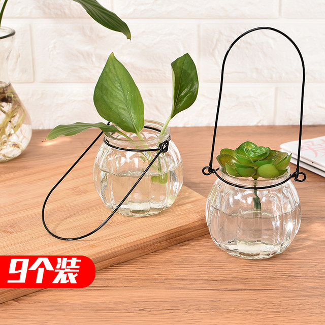 9-pack hanging transparent glass vases pumpkin small hanging bottles simple hydroponic flower pots indoor gardening home decoration