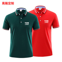 Poio Shirt Custom Workwear Lapel T-Shirt Custom-Made Embroidery Summer Short-Sleeve Men's and Women's Company Work Clothes with Printed Logo