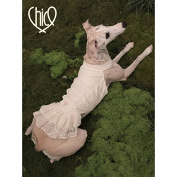 Chico｜Lace Limited Edition Lace Dress Elegant Vintage Plaid Soft Anti-Wrinkle Small Greyhound Whippet