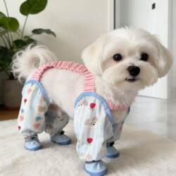 Pet Cats and Dogs Outdoor Dust-Proof Pants for Small and Medium-Sized Dogs, Four-Season Anti-Dirt Four-Legged Pants for Small and Medium-Sized Dogs