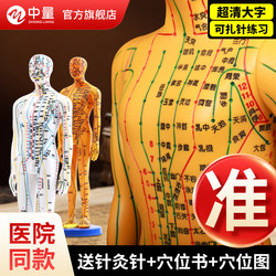 Acupuncture Meridian Human Body Model with Acupuncture Points, Full-Body Diagram, Twelve Copper Human Figures, Realistic Silicone, Can Be Used for Acupuncture, Small Skin-Like Figure