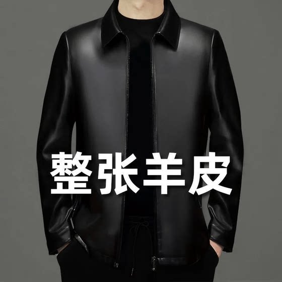 Spring new Haining leather leather jacket lapel Mian sheep men's jacket spring and autumn eggplant jacket daddy
