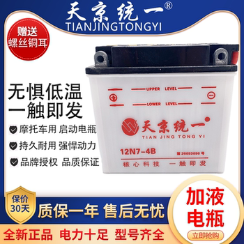 Universal 12V Power Assist Straddle 9A Scooter