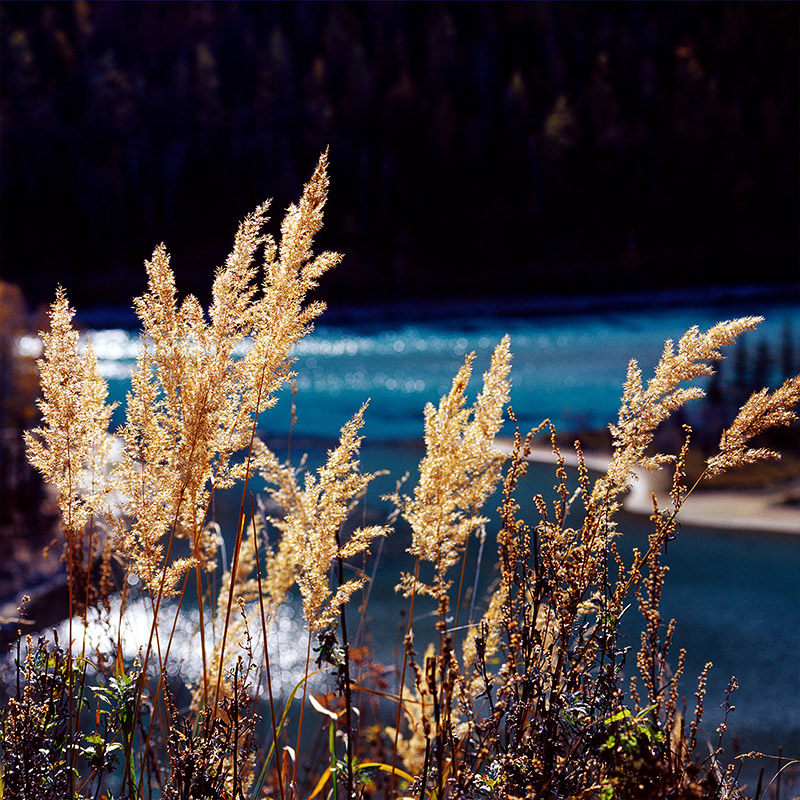 金秋高铁动车8人团成都九寨沟黄龙三日游纯玩旅游3天2晚跟团游