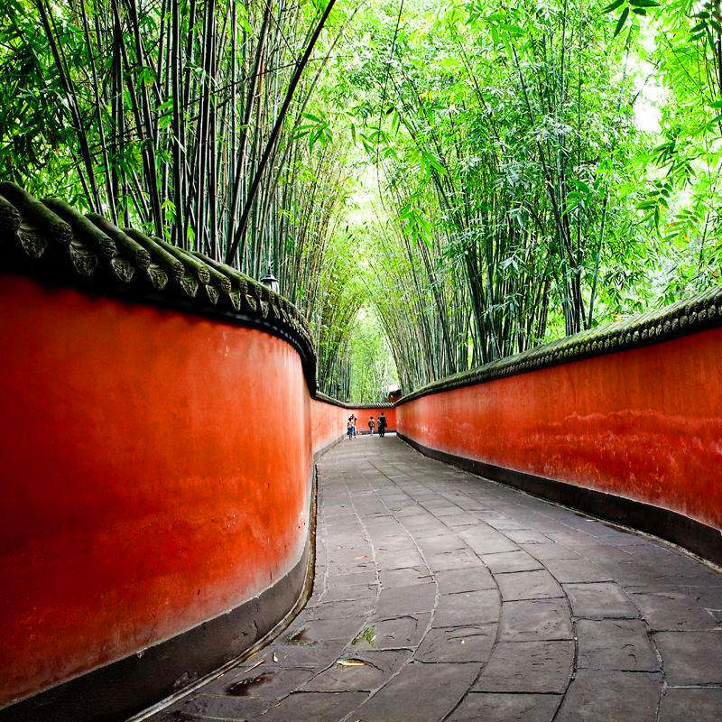 成都市区一日游武侯祠杜甫草堂周边亲子研学1日游跟团旅游纯玩