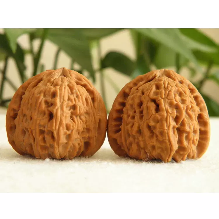 文玩核桃 三角白獅子 文玩核桃界的白狮子：一物一图三角闷尖狮子头手捻精品，收藏级艺术品