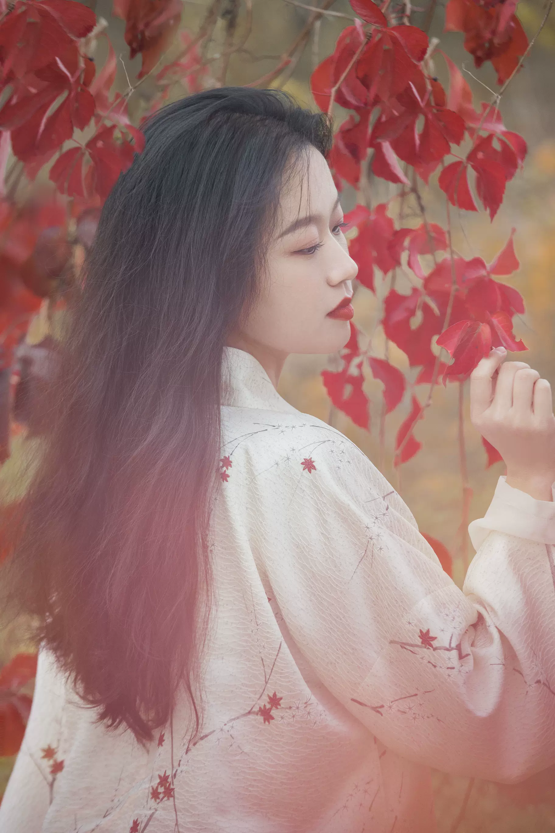 一叶知秋｜不工阁｜枫叶纹正绢通领短衫褙