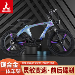 Phoenix High-End Magnesium Alloy Mountain Bike Children's Pedal Bicycle Variable Speed Bicycle for Boys and Girls, Medium and Large Children 18/24