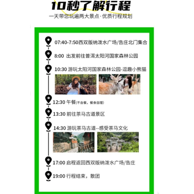 普洱太阳河森林公园+茶马古道景区一日游/2-6人小团+与小熊猫互动