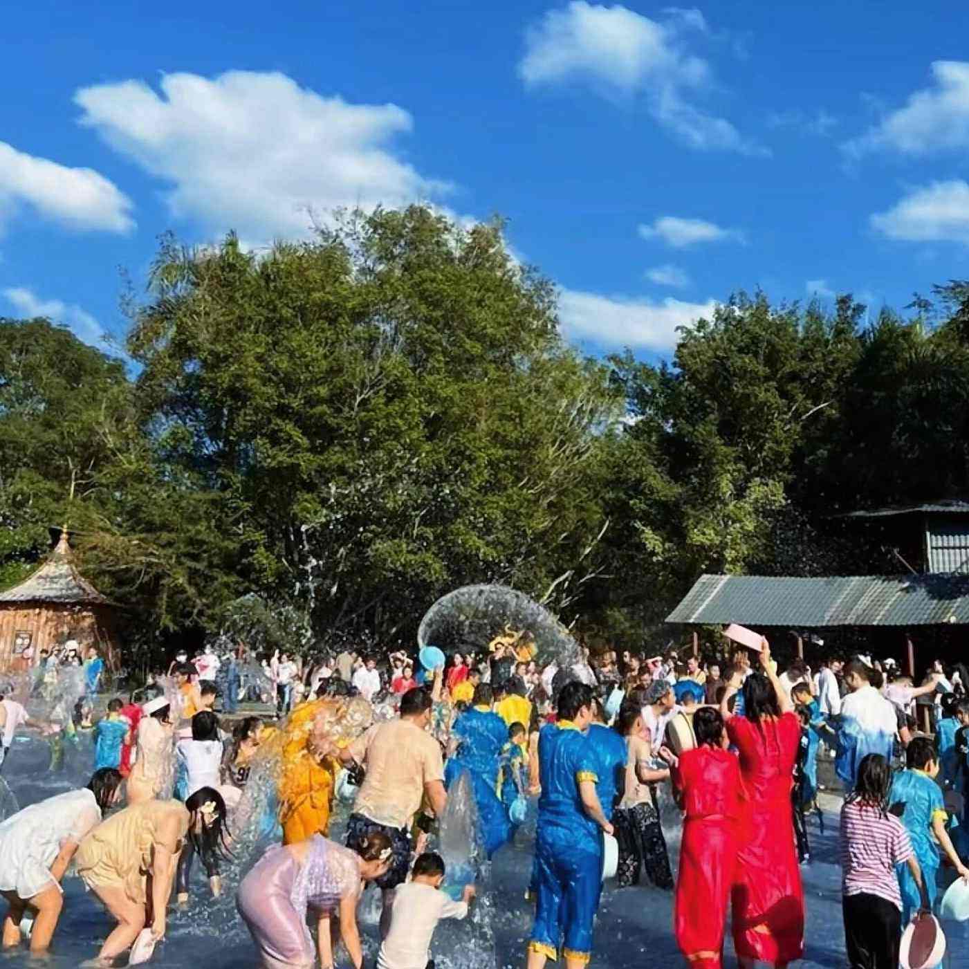 私家团|西双版纳傣族园+中科植物园+植物园夜游一日游|精品纯玩