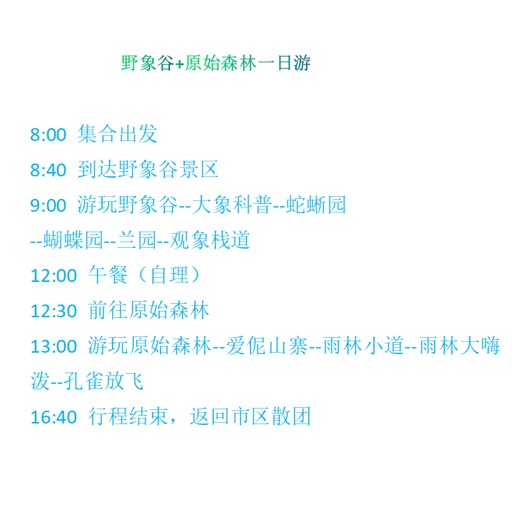 【2-6人高品小团】西双版纳一日游野象谷原始森林公园真纯玩0购物