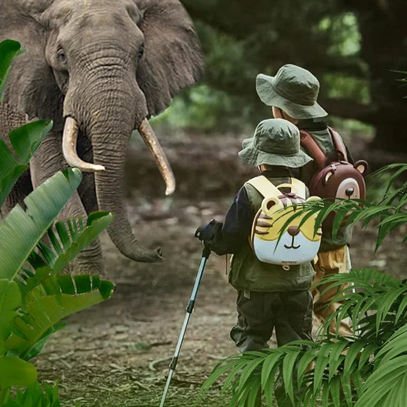 私家团云南旅游西双版纳一日游野象谷原始森林公园精品纯玩不进店