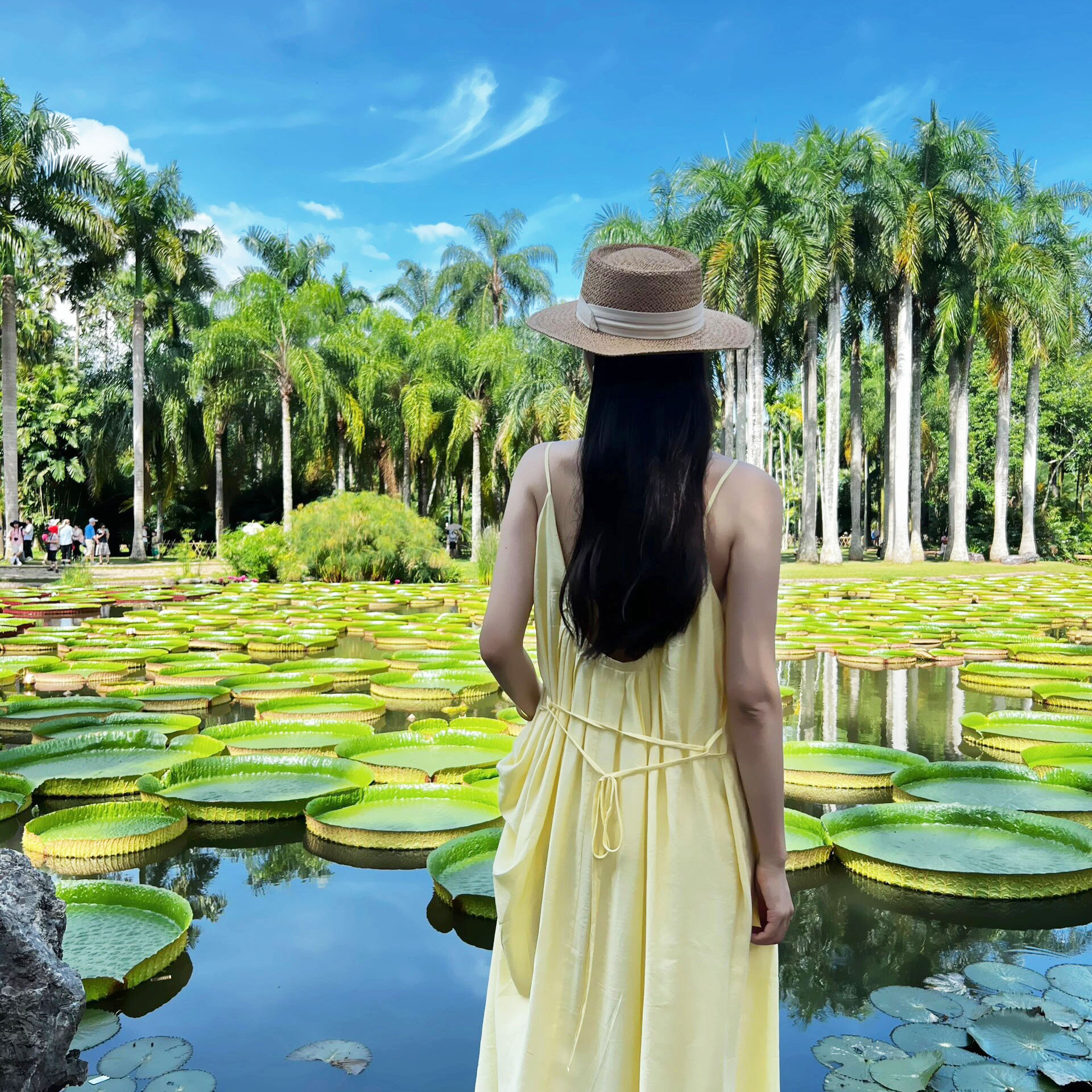 中科院热带植物园西区讲解|精选导游讲解|可选10:30/14:30场