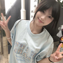 American Retro Patchwork Embroidered Light Blue Short-Sleeved T-Shirt for Women, Summer Lazy Style Design, Niche Pure Cotton Top