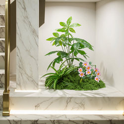 Simulated Green Plant Landscaping Combination Indoor Window Corner Bionic Moss Micro Landscape Fake Green Plant Scene Decoration Arrangement