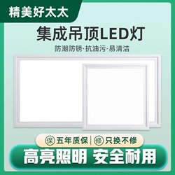 Exquisite and Elegant Aluminum Ceiling Panel for Kitchen and Bathroom, Embedded 300*300*600 Integrated Ceiling Led Flat Panel Light