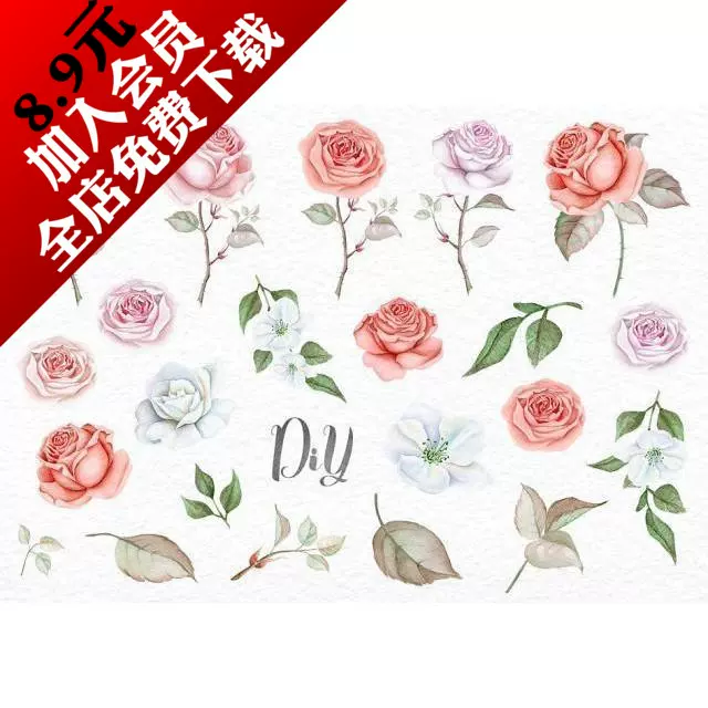 彩色鉛筆素描玫瑰花木板公告海報卡片請帖手繪水彩png設計素材 Taobao