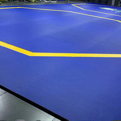 Fighting Roll Mat, Taekwondo, Martial Arts, Judo, Dance Training Mat