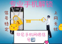 Indonesian Sim Card Unlocking, Network Signal, Indonesian Ieim Activation, 10 Minutes to Activate