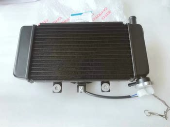 
Dongfeng 250sr water tank radiator fan combination