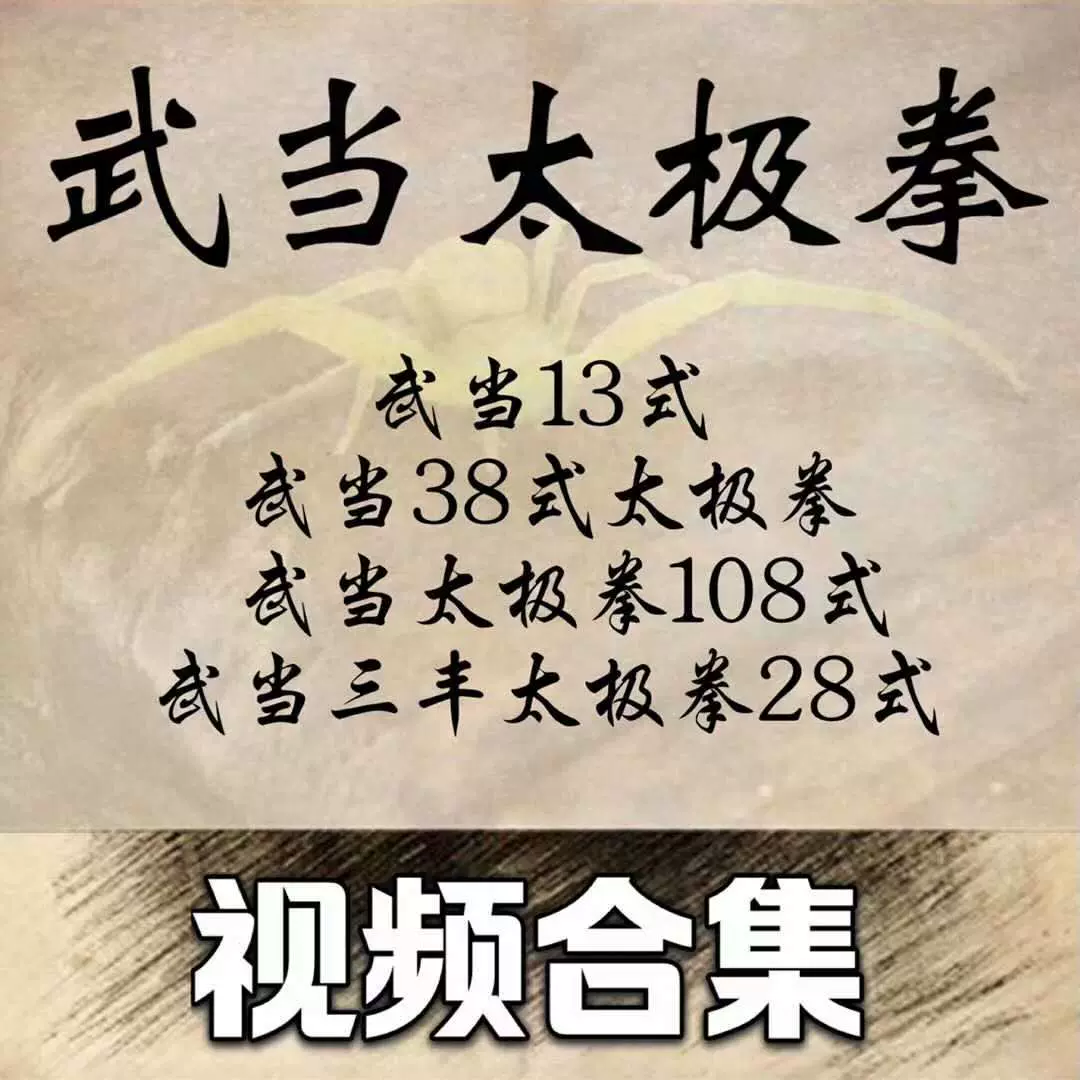 八卦掌内部函授教程何静寒宫廷八卦掌4VCD视频教学自学传统武术课
