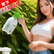Under the city 2L hand -held small office thickened nozzle fluorine spray pot house horticultural watering flowers air pressure sprayer