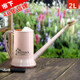 Gardening long mouth watering kettle plastic household gardening green plants potted plants watering lengthened mouth thickened 2L large capacity spray pot