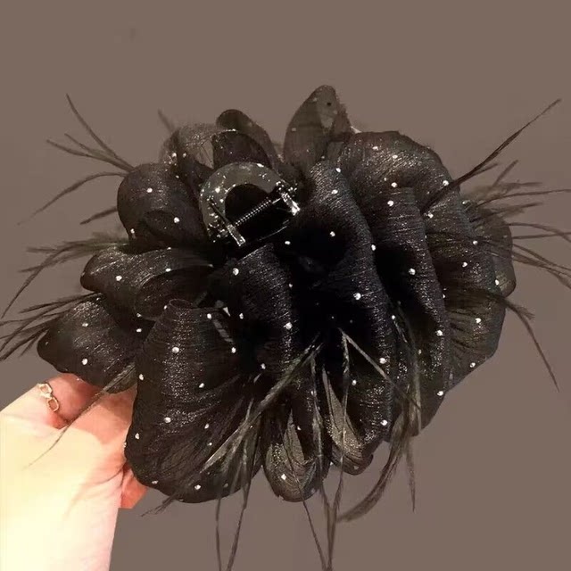 Starry hair clip for women 2025 new temperament hair clip for feather clip for high-end shark clip for back head clip headgear