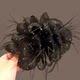 Starry hair clip for women 2025 new temperament hair clip for feather clip for high-end shark clip for back head clip headgear