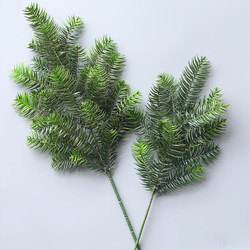 Artificial Fir Tree Leaves, Water Fir, South Sea Fir, Red Fir, Fake Branches, Christmas Fir, Welcoming Pine, Landscaping Pine and Cypress